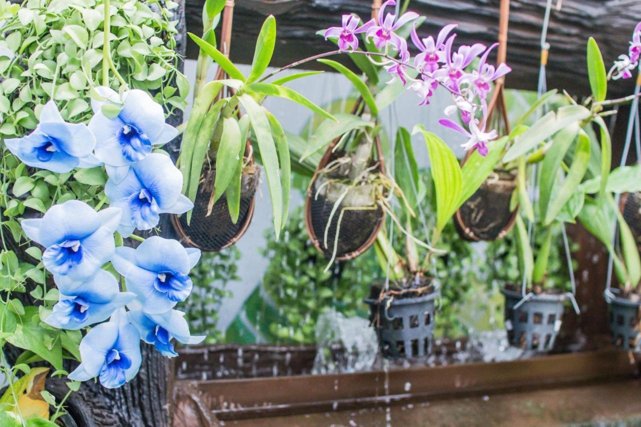 Villa Siam & Spa Bangkok Dış mekan fotoğraf